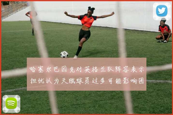 哈塞尔巴因克对英格兰队阵容表示担忧认为天赋球员过多可能影响团队合作